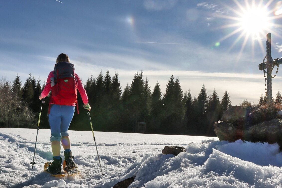Snowshoe walking Schneeschuhwanderung Dreieckkogel - Touren-Impression #1 | © Weges OG