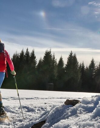 Dreieckkogel | Weges OG | © Weges OG