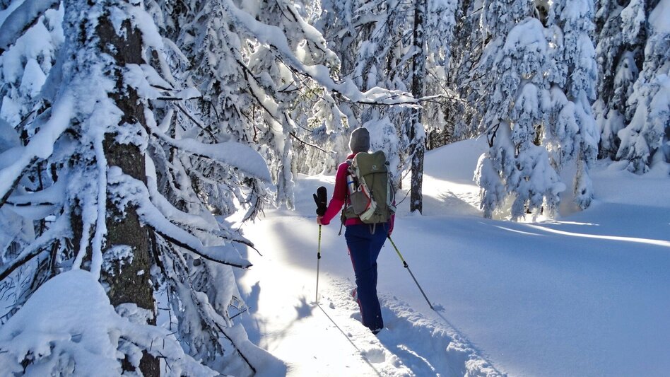 Snowshoe walking Schneeschuhwanderung Dreieckkogel - Touren-Impression #2.3 | © Weges OG