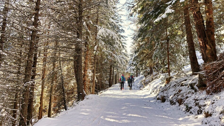 Snowshoe walking With snowshoes from hut to hut - Touren-Impression #2.3 | © Weges OG