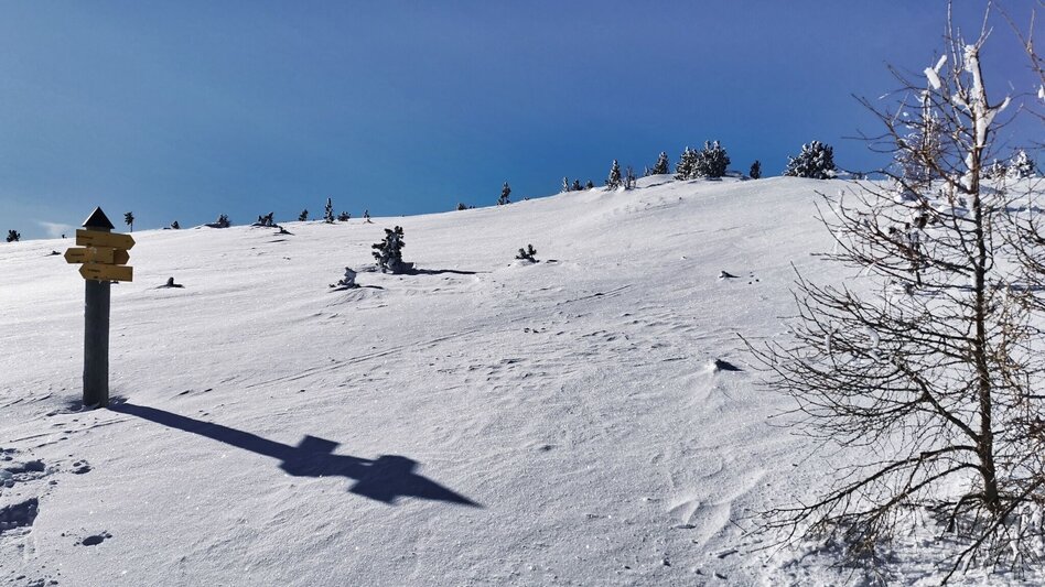 Snowshoe walking With snowshoes from hut to hut - Touren-Impression #2.5 | © Weges OG