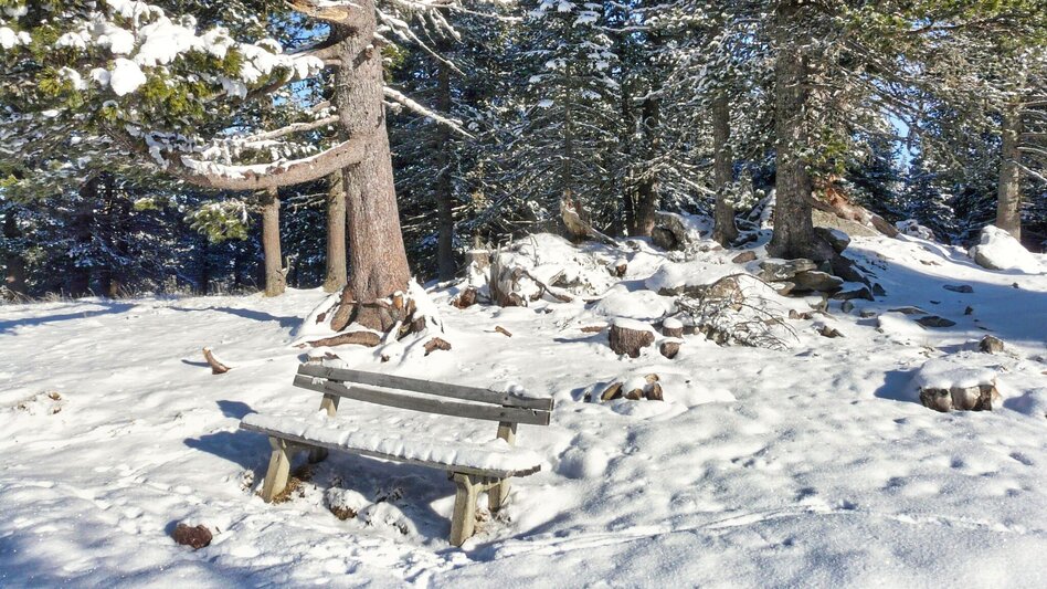 Snowshoe walking With snowshoes from hut to hut - Touren-Impression #2.8 | © Weges OG