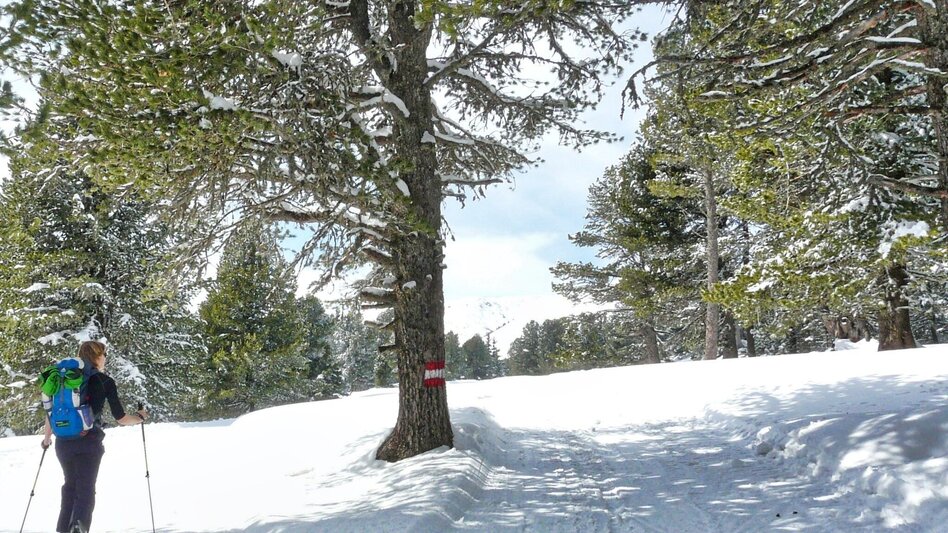 Snowshoe walking With snowshoes from hut to hut - Touren-Impression #2.12 | © Erlebnisregion Murtal