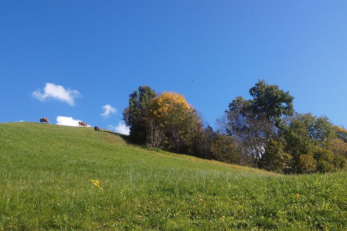 Wanderung Krapflrundweg - Touren-Impression #1 | © Erlebnisregion Schladming-Dachstein