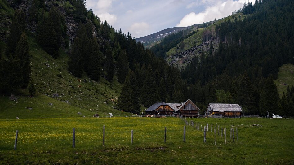 Hiking route Alpine pasture hike-Planneralm to Lärchkar - Touren-Impression #2.1 | © Erlebnisregion Schladming-Dachstein