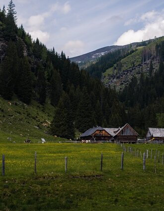 Lärchkaralm | Christoph Lukas | © Erlebnisregion Schladming-Dachstein