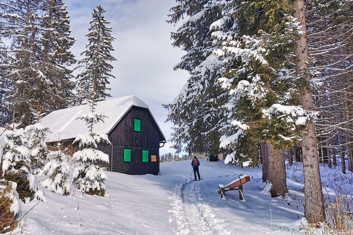 Snowshoe walking Snowshoe hike Gaaler Höhe - Touren-Impression #1 | © Weges OG