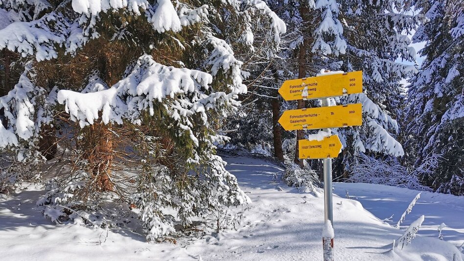 Snowshoe walking Snowshoe hike Gaaler Höhe - Touren-Impression #2.4 | © Weges OG