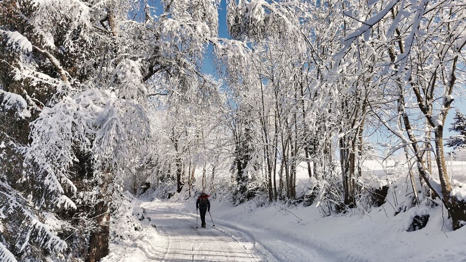 Snowshoe walking Snowshoe hike Gaaler Höhe - Touren-Impression #2.5 | © Weges OG