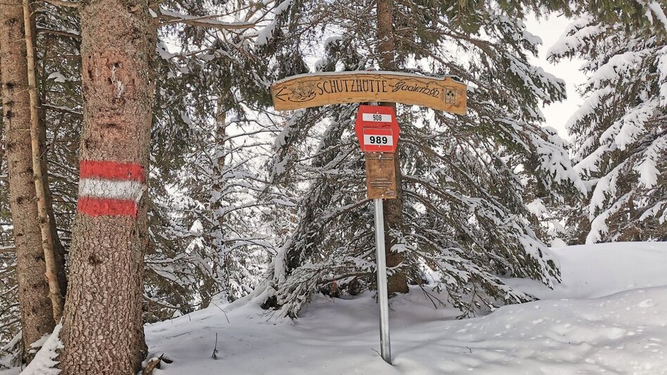 Snowshoe walking Snowshoe hike Gaaler Höhe - Touren-Impression #2.9 | © Weges OG