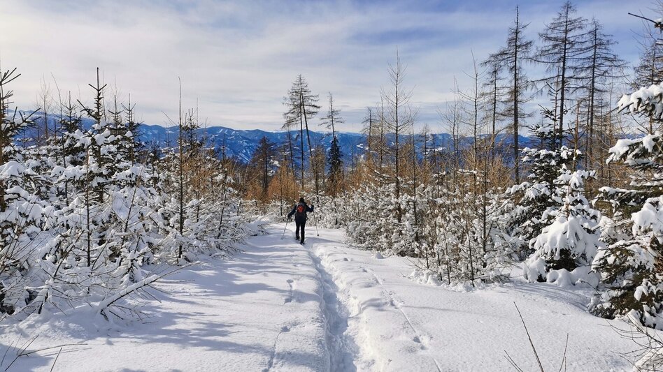 Snowshoe walking Snowshoe hike Gaaler Höhe - Touren-Impression #2.11 | © Weges OG