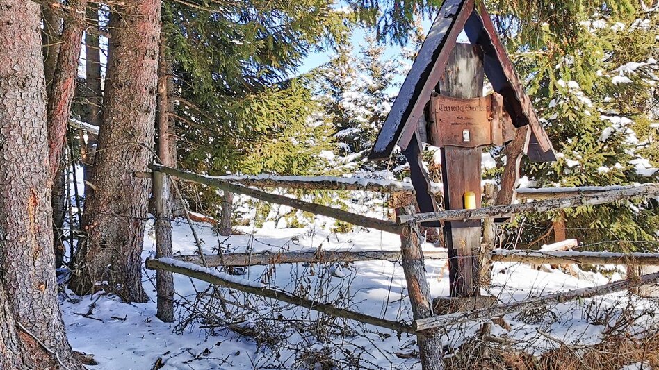 Snowshoe walking Snowshoe hike Gaaler Höhe - Touren-Impression #2.13 | © Erlebnisregion Murtal