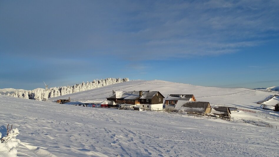 Snowshoe walking Snowshoe hike Rappoldkogel from the Old Almhaus - Touren-Impression #2.2 | © WEGES OG