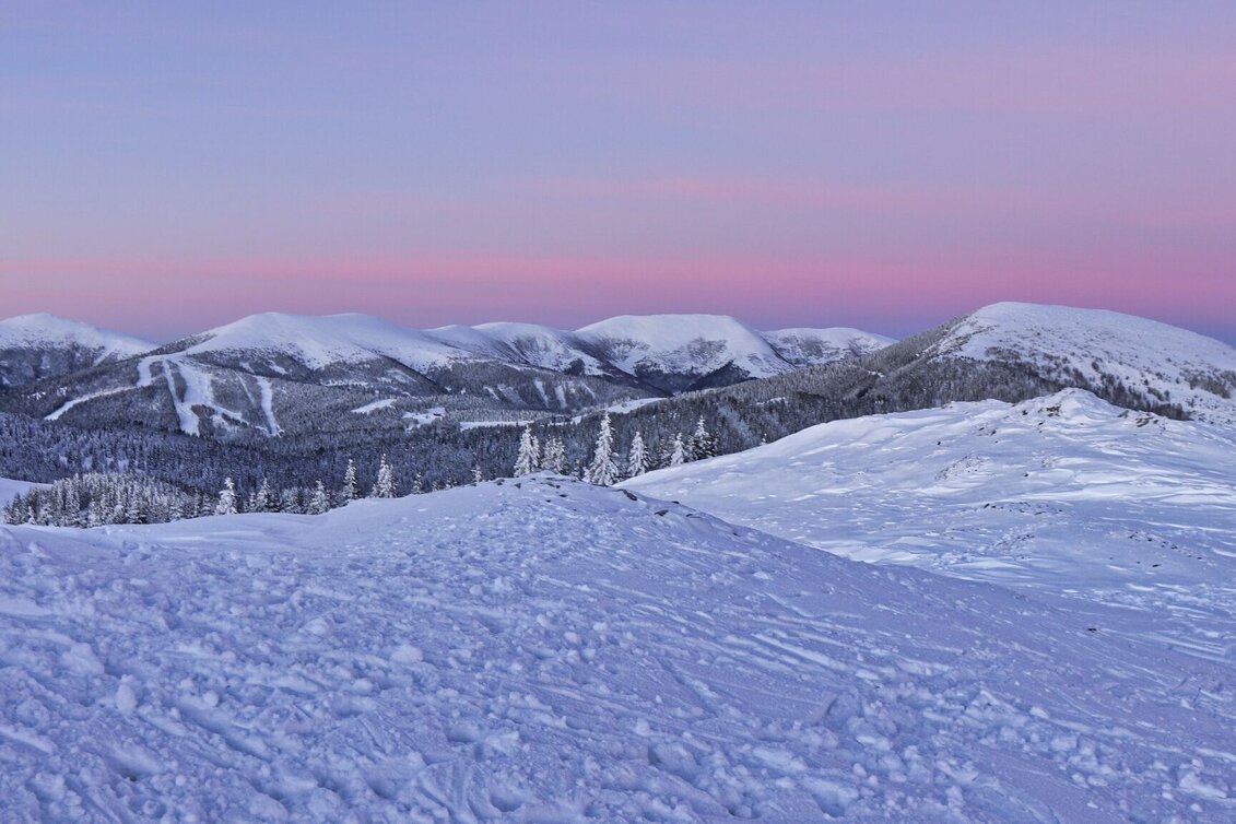 Snowshoe walking Snowshoe hike Rappoldkogel from the Old Almhaus - Touren-Impression #1 | © Weges OG