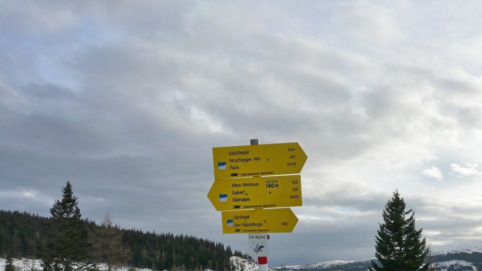 Snowshoe walking Snowshoe hike Rappoldkogel from the Old Almhaus - Touren-Impression #2.3 | © Weges OG
