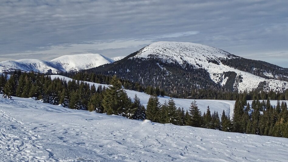 Snowshoe walking Snowshoe hike Rappoldkogel from the Old Almhaus - Touren-Impression #2.4 | © Weges OG
