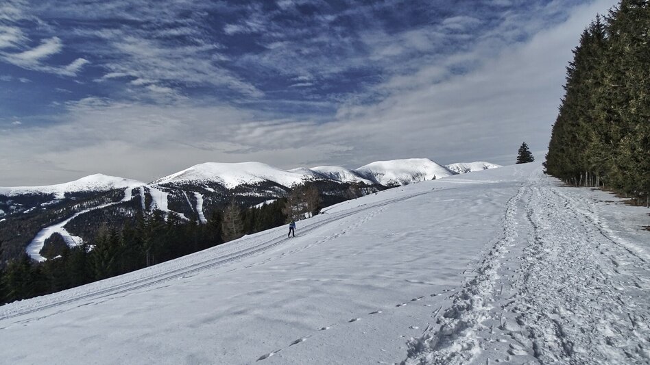 Snowshoe walking Snowshoe hike Rappoldkogel from the Old Almhaus - Touren-Impression #2.5 | © Weges OG