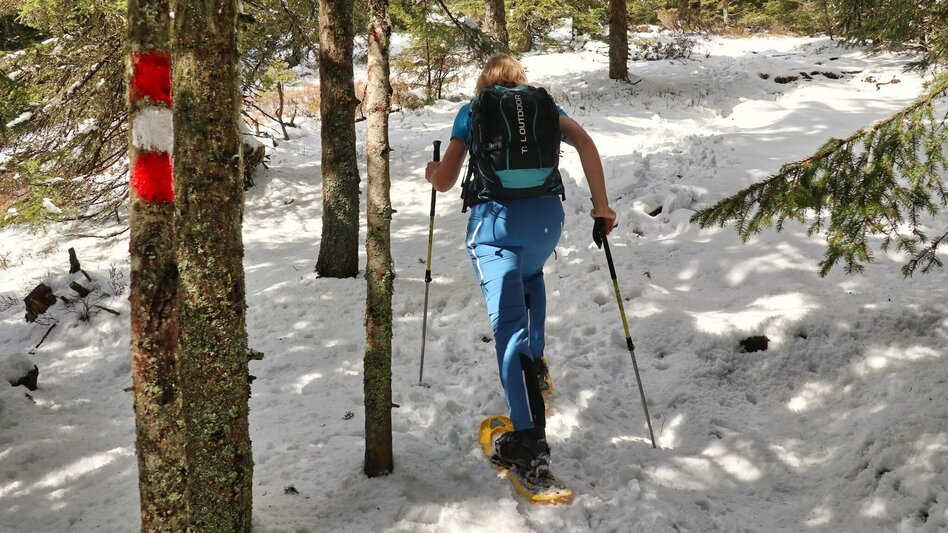 Snowshoe walking Snowshoe hike Rappoldkogel from the Old Almhaus - Touren-Impression #2.7 | © Weges OG