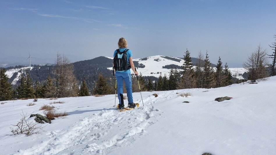 Snowshoe walking Snowshoe hike Rappoldkogel from the Old Almhaus - Touren-Impression #2.9 | © Weges OG