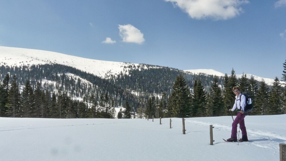 Snowshoe walking Snowshoe hike Speikkogel, 1993 m - Touren-Impression #2.4 | © Weges OG