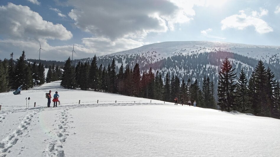 Snowshoe walking Snowshoe hike Speikkogel, 1993 m - Touren-Impression #2.5 | © Weges OG