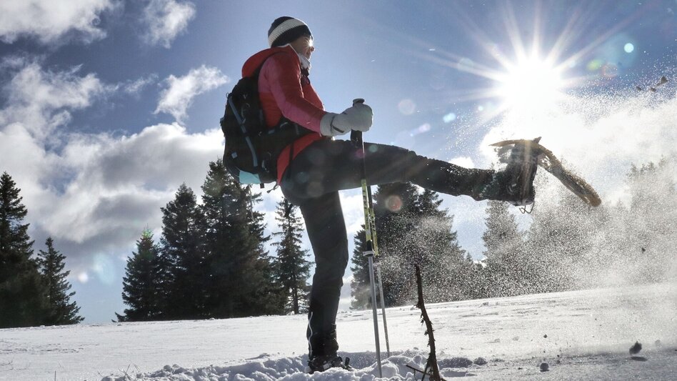 Snowshoe walking Snowshoe hike Speikkogel, 1993 m - Touren-Impression #2.6 | © Weges OG