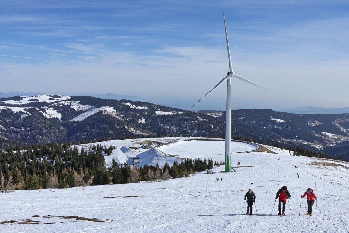 Snowshoe walking Snowshoe hike Speikkogel, 1993 m - Touren-Impression #1 | © Weges OG