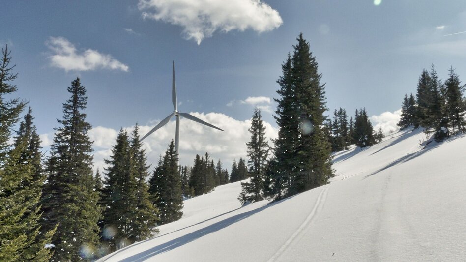 Snowshoe walking Snowshoe hike Speikkogel, 1993 m - Touren-Impression #2.8 | © Weges OG