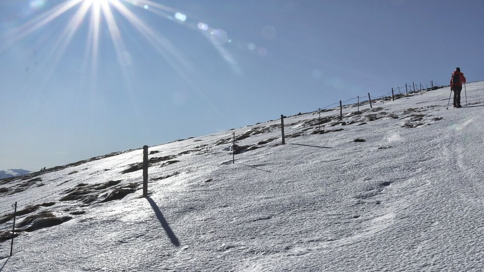 Snowshoe walking Snowshoe hike Speikkogel, 1993 m - Touren-Impression #2.9 | © Weges OG