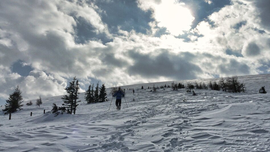 Snowshoe walking Snowshoe hike Speikkogel, 1993 m - Touren-Impression #2.12 | © Weges OG
