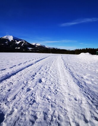 Start am Flugplatz mit Blick auf die Gemeindealpe und den Ötscher | Brigitte Digruber | © TV Hochsteiermark