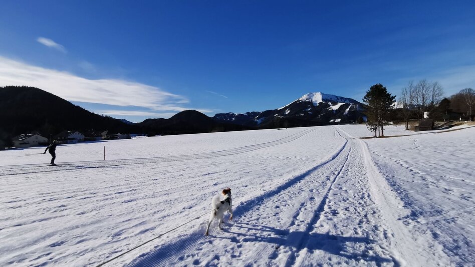 Winter Hiking Winter hiking trail at the airfield St. Sebastian - Touren-Impression #2.4 | © TV Hochsteiermark