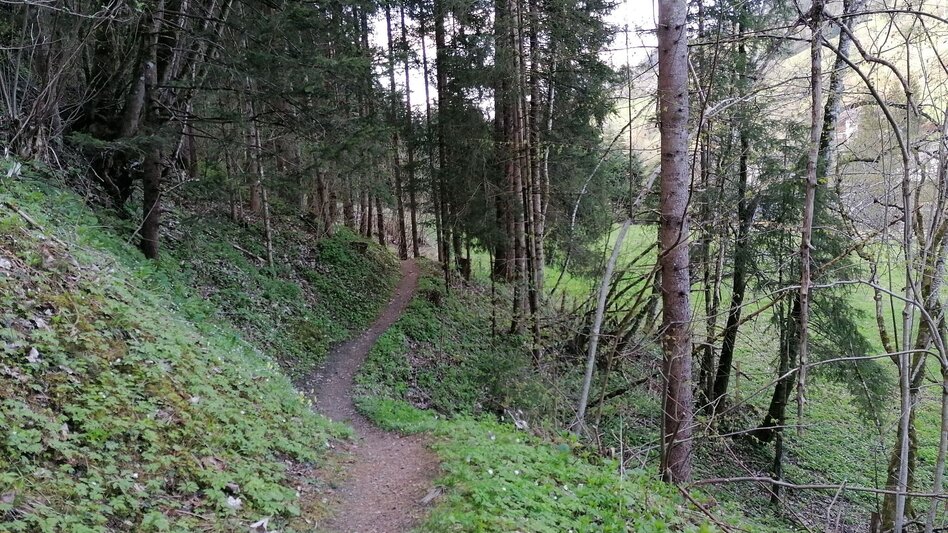 Hiking route Fisherway - Touren-Impression #2.4 | © Erlebnisregion Schladming-Dachstein