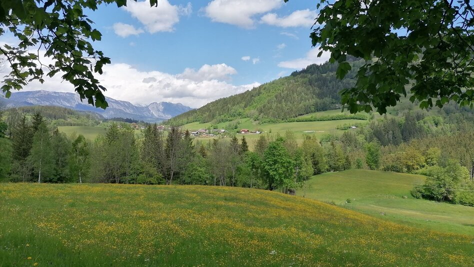 Hiking route Fisherway - Touren-Impression #2.1 | © Erlebnisregion Schladming-Dachstein