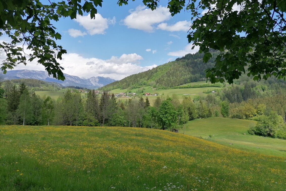 Hiking route Fisherway - Touren-Impression #1 | © Erlebnisregion Schladming-Dachstein