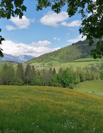 fischerweg_img_63058715 | © Erlebnisregion Schladming-Dachstein