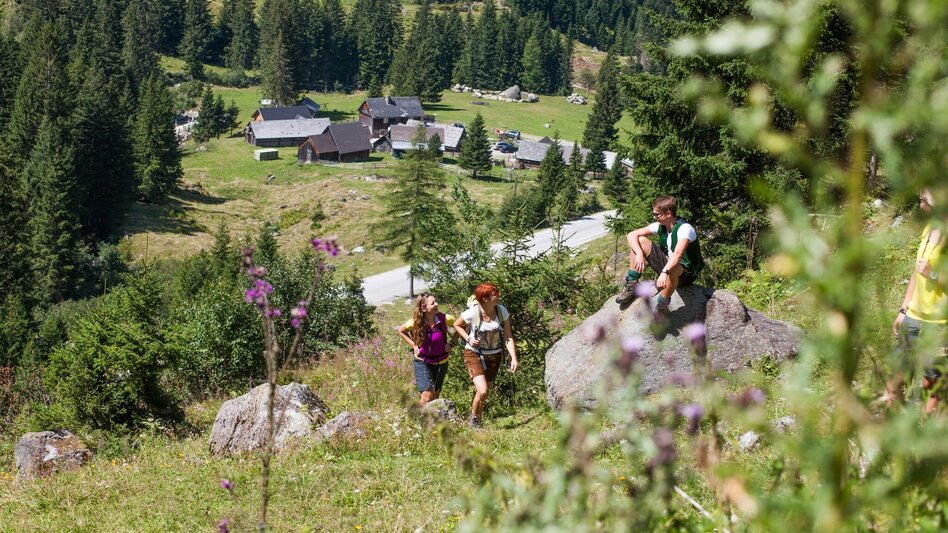 Wanderung Planner-Almaweg - Touren-Impression #2.2 | © Tourismusverband Grimming-Donnersbachtal