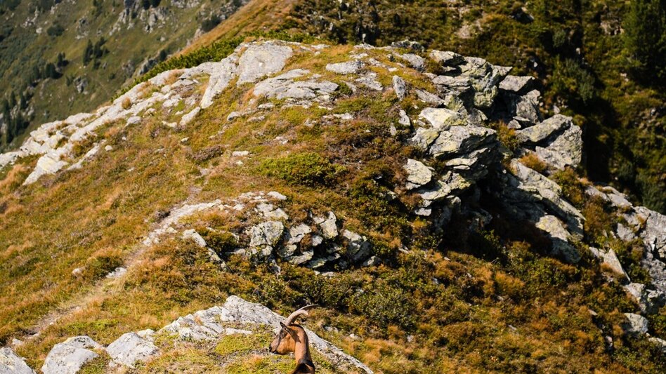 Hiking route Plannerseekarspitz - Touren-Impression #2.4 | © Erlebnisregion Schladming-Dachstein
