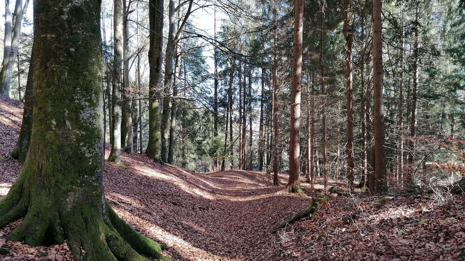 Hiking route Fürstenway - Touren-Impression #2.3 | © Erlebnisregion Schladming-Dachstein