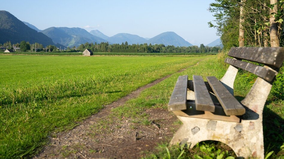 Wanderung Enns- und Wörschacher Moosweg - Touren-Impression #2.5 | © Erlebnisregion Schladming-Dachstein
