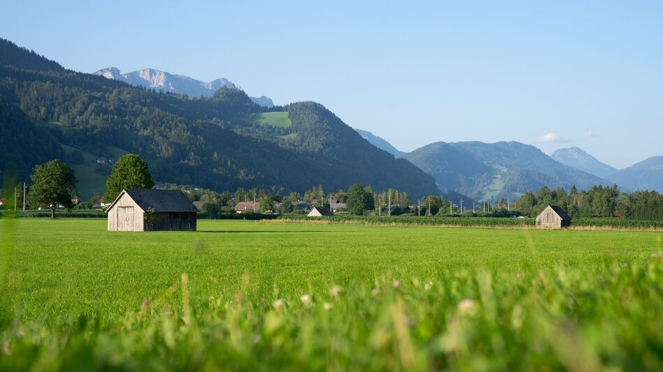 Wanderung Enns- und Wörschacher Moosweg - Touren-Impression #2.6 | © Erlebnisregion Schladming-Dachstein