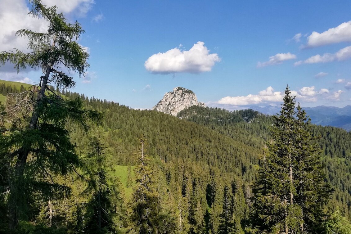 Hiking route Tausinground - Touren-Impression #1 | © Tourismusverband Grimming-Donnersbachtal