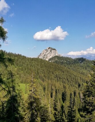 Hochtausing - der steirische Zuckerhut | Roland Gutwenger | © Tourismusverband Grimming-Donnersbachtal