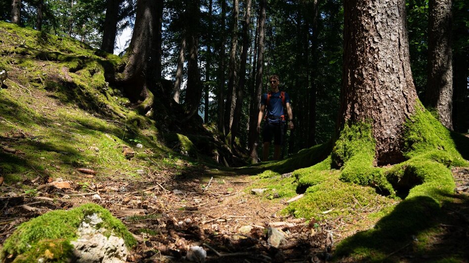 Hiking route Aicherlstone - Touren-Impression #2.1 | © Erlebnisregion Schladming-Dachstein