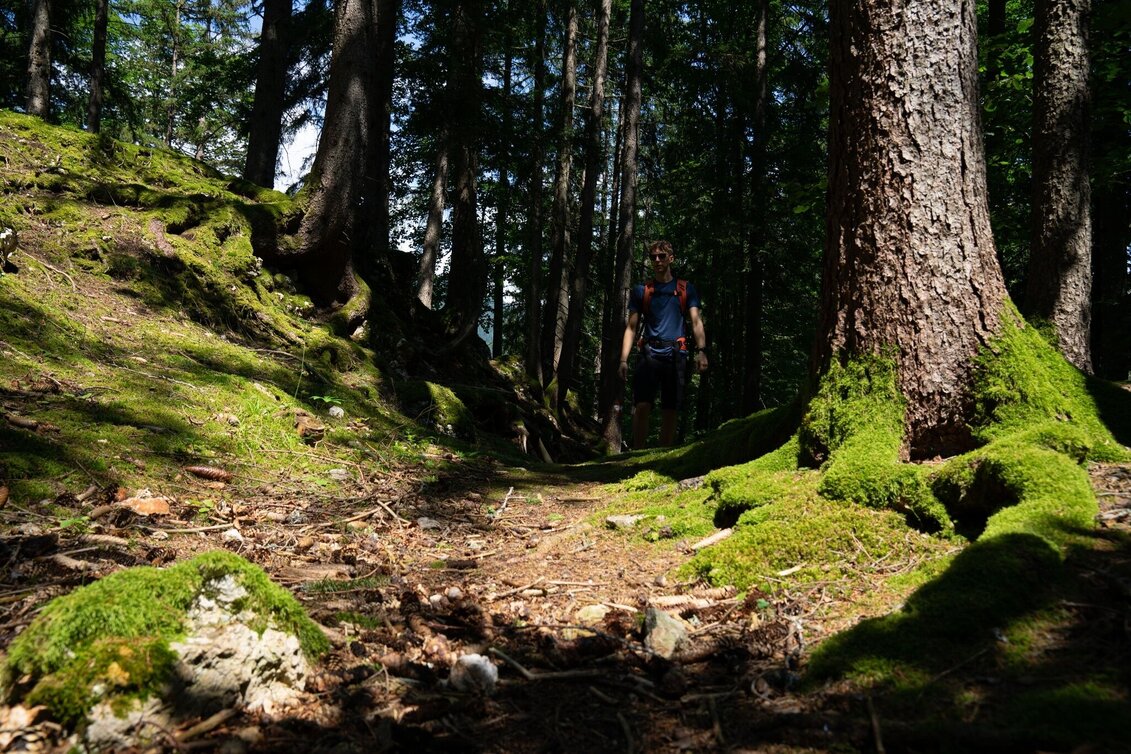 Hiking route Aicherlstone - Touren-Impression #1 | © Erlebnisregion Schladming-Dachstein