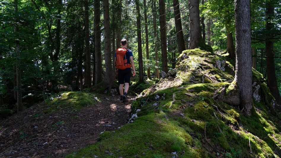 Hiking route Aicherlstone - Touren-Impression #2.2 | © Erlebnisregion Schladming-Dachstein