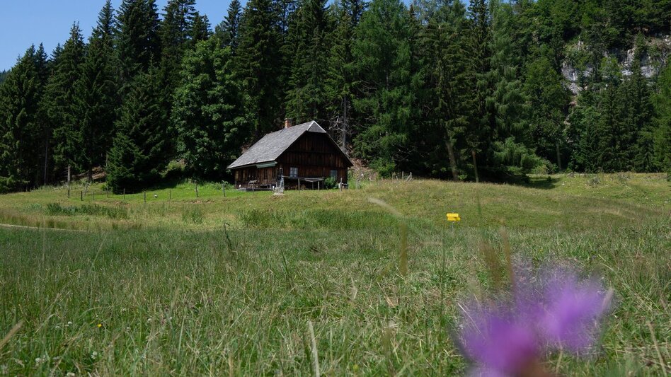Hiking route Aicherlstone - Touren-Impression #2.3 | © Erlebnisregion Schladming-Dachstein