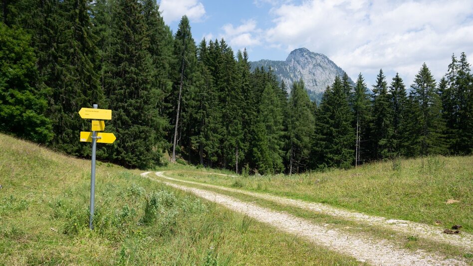 Hiking route Aicherlstone - Touren-Impression #2.4 | © Erlebnisregion Schladming-Dachstein