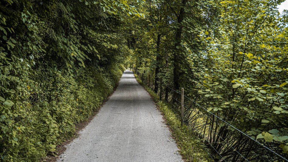 Wanderung KulturNaturGenuss-Rundweg - Touren-Impression #2.10 | © Erlebnisregion Schladming-Dachstein