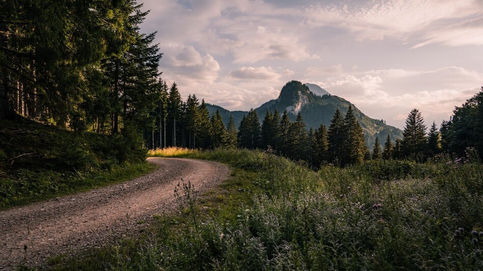 Hiking route Spechtenlake via Leistenalm - Touren-Impression #2.3 | © Erlebnisregion Schladming-Dachstein